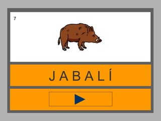 J A B A L Í
7
 