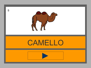 CAMELLO
5
 