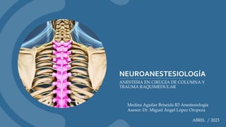 NEUROANESTESIOLOGÍA
ANESTESIA EN CIRUGÍA DE COLUMNA Y
TRAUMA RAQUIMEDULAR
Medina Aguilar Briseida R3 Anestesiología
Asesor: Dr. Miguel Ángel López Oropeza
ABRIL / 2023
 