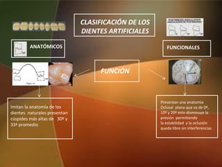 CLASIFICACIÓN DE LOS
DIENTES ARTIFICIALES
FUNCIÓN
ANATÓMICOS FUNCIONALES
Imitan la anatomía de los
dientes naturales presentan
cúspides más altas de 30º y
33ª promedio
Presentan una anatomía
Oclusal plana que va de 0ª,
10º y 20ª esto disminuye la
presión permitiendo
la estabilidad y la oclusión
queda libre sin interferencias
 