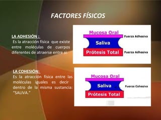 LA COHESIÓN:
Es la atracción física entre las
moléculas iguales es decir
dentro de la misma sustancia:
“SALIVA.”
LA ADHESIÓN :
Es la atracción física que existe
entre moléculas de cuerpos
diferentes de atraerse entre si.
FACTORES FÍSICOS
 