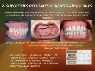 2- SUPERFICIES OCLUSALES O DIENTES ARTIFICIALES
DEBEN ARMONIZAR CON UNA FUNCIÓN DE LABIOS, LENGUA Y OCLUSIÓN FUNCIONAL
EQUILIBRADA PARA PROMOVER LA RETENCION .(FISH,THE JOURNAL OF PROSTHETIC
DENTISTRY)
LAS SUPERFICIES OCLUSALES RECIBEN LAS
FUERZAS DE LOS MÚSCULOS MASTICATORIOS Y
LAS DIRIGEN HACIA EL TERRENO PRÓTESICO
AHÍ SE ASIENTA Y PROMUEVE UNA ADECUADA
RETENCIÓN LA BASE PROTÉSICA
ÓPTIMO ENFILADO Y DEBEN AJUSTAR CON LAS SUPERFICIES OCLUSALES DE LA
ARCADADA ANTAGONISTA MANTENIENDO UNA BUENA
RELACIÓN CÚSPIDE-FOSA
 