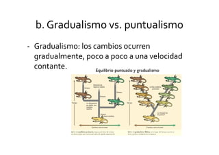 Gradualidad Evolución, leyes de darwin, evolucion genetica | PDF