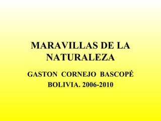 MARAVILLAS DE LA NATURALEZA GASTON  CORNEJO  BASCOPÉ BOLIVIA. 2006-2010 