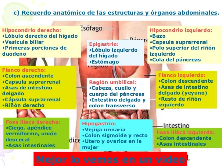 Radiografía de Abdomen