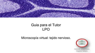 Guia para el Tutor
LPO
Microscopía virtual: tejido nervioso.
 