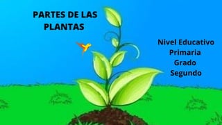 PARTES DE LAS
PLANTAS
Nivel Educativo
Primaria
Grado
Segundo
 