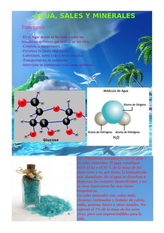 agua, sales y minerales (biología)