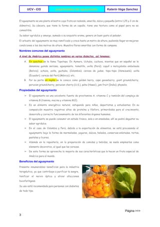  
UCV ­ CIS   propriedades del aguaymanto  Katerin Vega Sanchez 
 
El aguaymanto es una planta silvestre cuya fruta es redonda, amarilla, dulce y pequeña (entre 1,25 y 2 cm de
diámetro). Su cáscara, que tiene la forma de un capullo, tiene una textura como el papel pero no es
comestible.
Su sabor agridulce y amargo, sumado a su exquisito aroma, genera un buen gusto al paladar.
El arbusto del aguaymanto es muy ramificado y crece hasta un metro de altura, pudiendo llegar en mejores
condiciones a los dos metros de altura. Muestra flores amarillas con forma de campana.
Nombres comunes del aguaymanto 
A nivel de América posee distintos nombres en varios dialectos, así tenemos:
A. En quechua ​se le llama Topotopo. En Aymara, Uchuba, cuchuva, mientas que en español se le
denomina guinda serrana, aguaymanto, tomatillo, uvilla (Perú); capulí o motojobobo embolsado
(Bolivia); uchuva, uvilla, guchuba, (Colombia); cereza de judas, topo-topo (Venezuela); uvilla
(Ecuador); cereza del Perú (México); etc.
B. Por su parte ​en inglés ​se le conoce como golden berry, cape gooseberry, giant groundcherry,
peruvian groundcherry, peruvian cherry (U.S.), poha (Hawai), jam fruit (India), physalis.
Propiedades del aguaymanto 
➢ El aguaymanto es una excelente fuente de provitamina A. vitamina C y también del complejo de
vitamina B (tiamina, niacina y vitamina B12).
➢ Es un alimento energético natural, estupendo para niños, deportistas y estudiantes. En su
composición muestra registros altos de proteína y fósforo, primordiales para el crecimiento,
desarrollo y correcto funcionamiento de los diferentes órganos humanos.
➢ El aguaymanto se puede consumir en estado fresco, sola o en ensaladas, allí se podrá degustar su
sabor agridulce.
➢ En el caso de Colombia y Perú, debido a la exportación de alimentos, se está procesando el
aguaymanto bajo la forma de mermeladas, yogures, dulces, helados, conservas enlatadas, tortas,
pasteles y licores.
➢ Además en la repostería, en la preparación de comidas y bebidas, se suele emplearlos como
elemento decorativo, al igual que las cerezas.
➢ De esta forma se aprovecha la mayoría de sus características que lo hacen un fruto especial de
América para el mundo.
Beneficios del aguaymanto 
Presenta innumerables beneficios para la industria
terapéutica, ya que contribuye a purificar la sangre,
tonificar el nervio óptico y aliviar afecciones
bucofaríngeas.
Su uso está recomendado para personas con diabetes
de todo tipo.
                                                                                                                                 Página >>>
3 
 