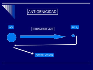 ANTIGENICIDAD



AG                      AC, Ig
       ORGANISMO VIVO




         DESTRUCCIÓN
 