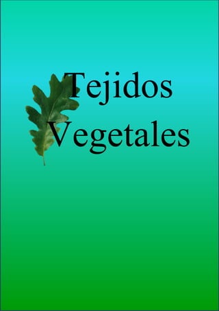 Tejidos
Vegetales
 