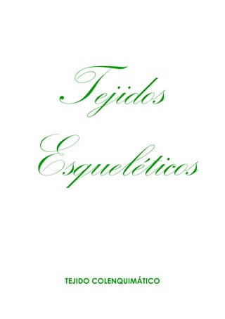 TEJIDO COLENQUIMÁTICO
Tejidos
Esqueléticos
 