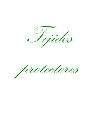 Tejidos
protectores
 