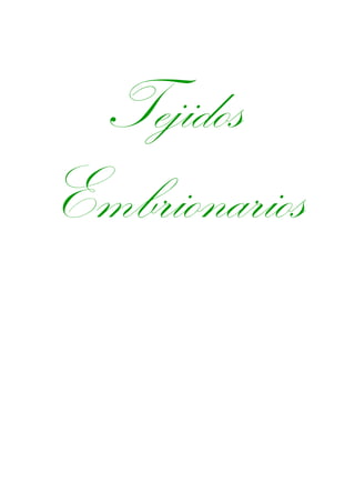 Tejidos
Embrionarios
 