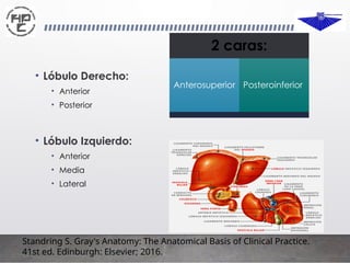 Copia de anatomiadelhigado-160925040731.pptx