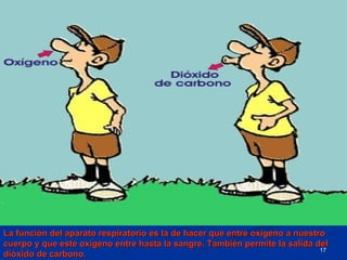 La función del aparato respiratorio es la de hacer que entre oxígeno a nuestro
cuerpo y que este oxígeno entre hasta la sangre. También permite la salida del
                                                                             17
dióxido de carbono.
 
