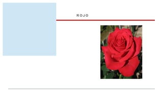 ROJO

Esta es una Rosa
de color ROJO

 