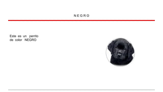 NEGRO

Este es un perrito
de color NEGRO

 