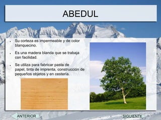 ABEDUL

●   Su corteza es impermeable y de color
    blanquecino.
●   Es una madera blanda que se trabaja
    con facilidad.
●   Se utiliza para fabricar pasta de
    papel, tinta de imprenta, construcción de
    pequeños objetos y en cestería.




     ANTERIOR                                   SIGUIENTE
 