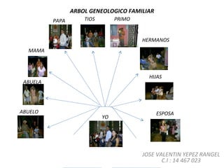 ARBOL GENEOLOGICO FAMILIAR JOSE VALENTIN YEPEZ RANGEL C.I : 14 467 023 ABUELO ABUELA MAMA PAPA TIOS PRIMO HERMANOS HIJAS ESPOSA YO 