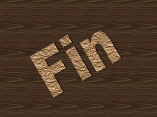 Fin 