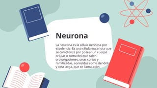 La neurona es la célula nerviosa por
excelencia. Es una célula eucariota que
se caracteriza por poseer un cuerpo
celular o soma del que salen
prolongaciones, unas cortas y
ramificadas, conocidas como dendritas,
y otra larga, que se llama axón
Neurona
 