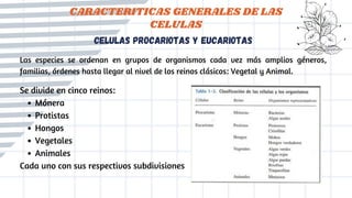 cELULAS PROCARIOTAS Y EUCARIOTAS
CARACTERITICAS GENERALES DE LAS
CELULAS
Mónera
Protistas
Hongos
Vegetales
Animales
Se div...