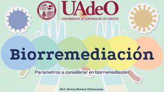 Biorremediación
Parámetros a considerar en biorremediación
M.C. Bricia Rivera Villanueva
 