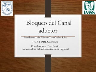 Bloqueo del Canal
aductor
Residente: Luis Alberto Trejo Valles R3A
HGR 1 IMSS Querétaro
Coordinadora: Dra. Lastiri
Coordinadora del módulo Anestesia Regional
 