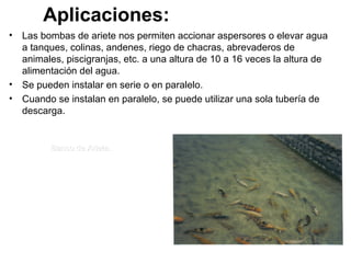 Aplicaciones:
• Las bombas de ariete nos permiten accionar aspersores o elevar agua
a tanques, colinas, andenes, riego de chacras, abrevaderos de
animales, piscigranjas, etc. a una altura de 10 a 16 veces la altura de
alimentación del agua.
• Se pueden instalar en serie o en paralelo.
• Cuando se instalan en paralelo, se puede utilizar una sola tubería de
descarga.
Banco de Ariete.Banco de Ariete.Banco de Ariete.
 