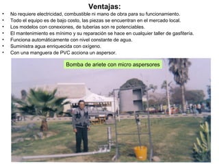 Ventajas:
• No requiere electricidad, combustible ni mano de obra para su funcionamiento.
• Todo el equipo es de bajo costo, las piezas se encuentran en el mercado local.
• Los modelos con conexiones, de tuberías son re potenciables.
• El mantenimiento es mínimo y su reparación se hace en cualquier taller de gasfitería.
• Funciona automáticamente con nivel constante de agua.
• Suministra agua enriquecida con oxígeno.
• Con una manguera de PVC acciona un aspersor.
Bomba de ariete con micro aspersores
 