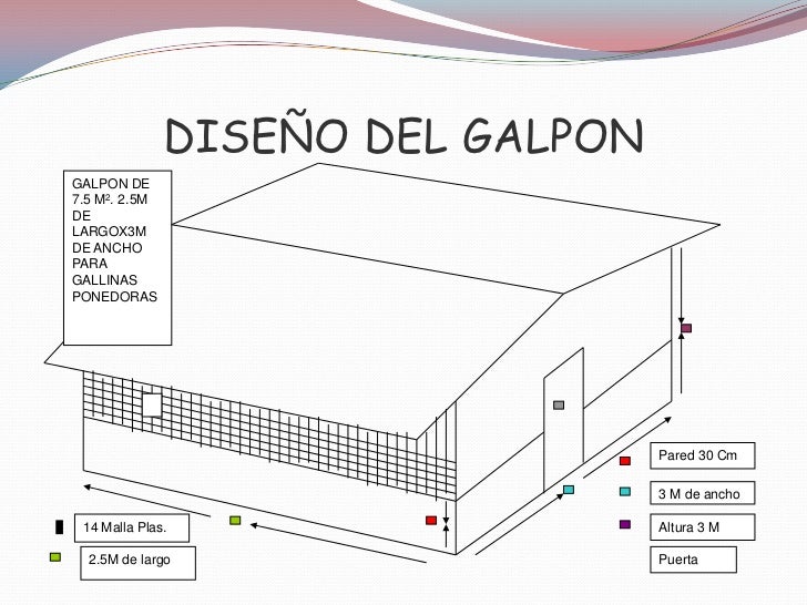 Copia de capacitacion de gallinas ponedpras instalaciones