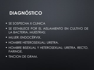 DIAGNÓSTICO
• SE SOSPECHA X CLINICA
• SE ESTABLECE POR EL AISLAMIENTO EN CULTIVO DE
LA BACTERIA. MUESTRAS:
• MUJER: ENDOCÉRVIX.
• HOMBRE HETEROSEXUAL: URETRA.
• HOMBRE BISEXUAL Y HETEROSEXUAL: URETRA, RECTO,
FARINGE.
• TINCION DE GRAM.
 