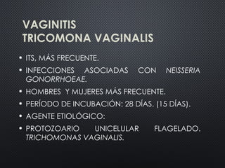 VAGINITIS
TRICOMONA VAGINALIS
• ITS, MÁS FRECUENTE.
• INFECCIONES ASOCIADAS CON NEISSERIA
GONORRHOEAE.
• HOMBRES Y MUJERES MÁS FRECUENTE.
• PERÍODO DE INCUBACIÓN: 28 DÍAS. (15 DÍAS).
• AGENTE ETIOLÓGICO:
• PROTOZOARIO UNICELULAR FLAGELADO.
TRICHOMONAS VAGINALIS.
 