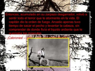   Pantaleón y las visitadoras (1973) 