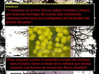   La guerra del fin del mundo (1981)