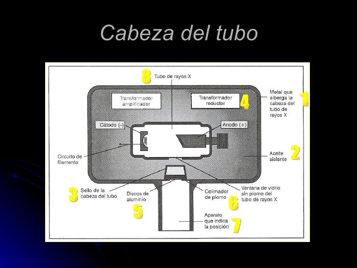 Copia de clase 1 radiología dental2