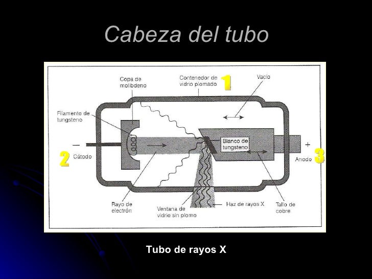 Copia de clase 1 radiología dental2