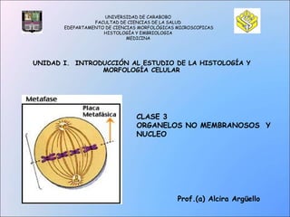 UNIVERSIDAD DE CARABOBO
FACULTAD DE CIENCIAS DE LA SALUD
EDEPARTAMENTO DE CIENCIAS MORFOLÓGICAS MICROSCOPICAS
HISTOLOGÍA Y EMBRIOLOGIA
MEDICINA
UNIDAD I. INTRODUCCIÓN AL ESTUDIO DE LA HISTOLOGÍA Y
MORFOLOGÍA CELULAR
CLASE 3
ORGANELOS NO MEMBRANOSOS Y
NUCLEO
Prof.(a) Alcira Argüello
 