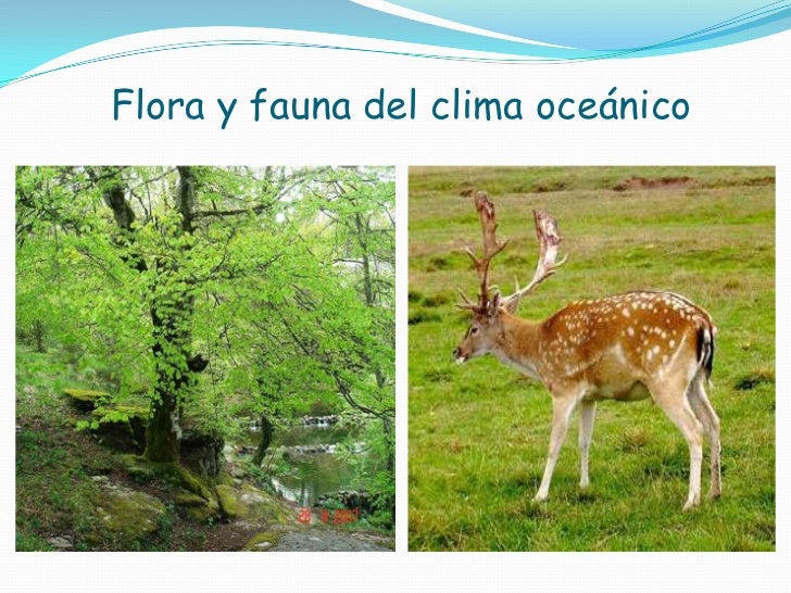 Copia de clima templado