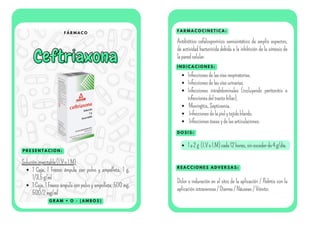 F Á R M A C O
Ceftriaxona
Ceftriaxona
P R E S E N T A C I O N :
F A R M A C O C I N E T I C A :
I N D I C A C I O N E S :
Solucióninyectable(I.VoI.M)
1 Caja, 1 Frasco ámpula con polvo y ampolleta, 1 g,
1/3.5g/ml
1 Caja, 1 Frasco ámpula con polvo y ampolleta, 500 mg,
500/2mg/ml
Antibiótico cefalosporínico semisintético de amplio espectro,
de actividad bactericida debida a la inhibición de la síntesis de
laparedcelular.
Infeccionesdelasvíasrespiratorias.
Infeccionesdelasvíasurinarias.
Infecciones intrabdominales (incluyendo peritonitis e
infeccionesdeltractobiliar).
Meningitis,Septicemia.
Infeccionesdelapielytejidoblando.
Infeccionesóseasydelasarticulaciones.
D O S I S :
1a2g (I.VoI.M)cada12horas,sinexcederde4g/día.
R E A C C I O N E S A D V E R S A S :
Dolor o induración en el sitio de la aplicación / Flebitis con la
aplicaciónintravenosa/Diarrea/Náuseas/Vómito.
G R A M + O - ( A M B O S )
 
