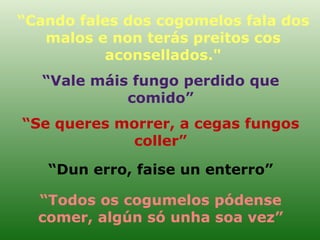 “ Cando fales dos cogomelos fala dos malos e non terás preitos cos aconsellados." “ Vale máis fungo perdido que comido” “ Se queres morrer, a cegas fungos coller” “ Dun erro, faise un enterro” “ Todos os cogumelos pódense comer, algún só unha soa vez” 