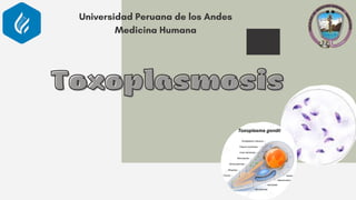 Toxoplasmosis
Toxoplasmosis
Universidad Peruana de los Andes
Medicina Humana
 