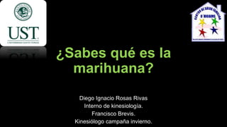 ¿Sabes qué es la
marihuana?
Diego Ignacio Rosas Rivas
Interno de kinesiología.
Francisco Brevis.
Kinesiólogo campaña invierno.
 
