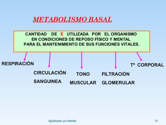 Las ideas acerca de tasa de metabolismo basal definicion