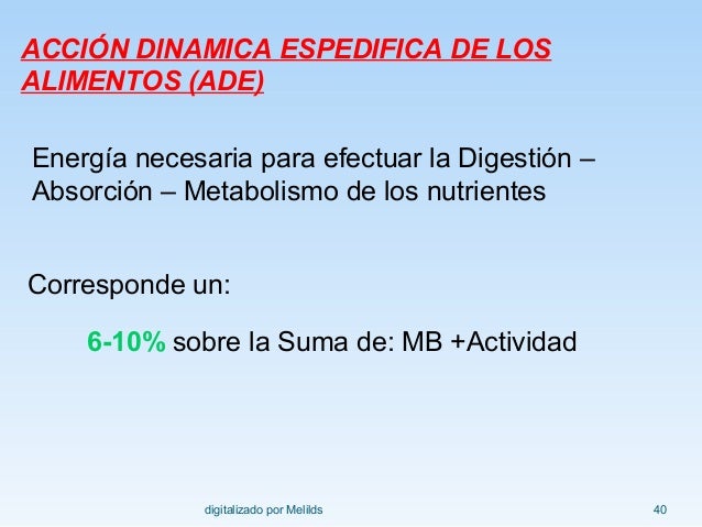 Un curso corto en ralentizar metabolismo