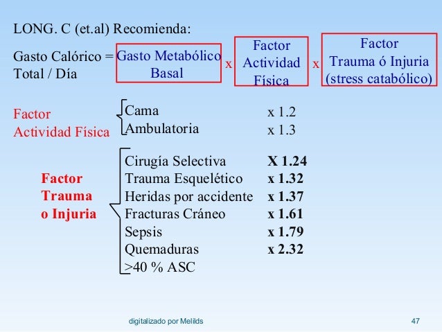Breve guía de dieta baja en colesterol y trigliceridos