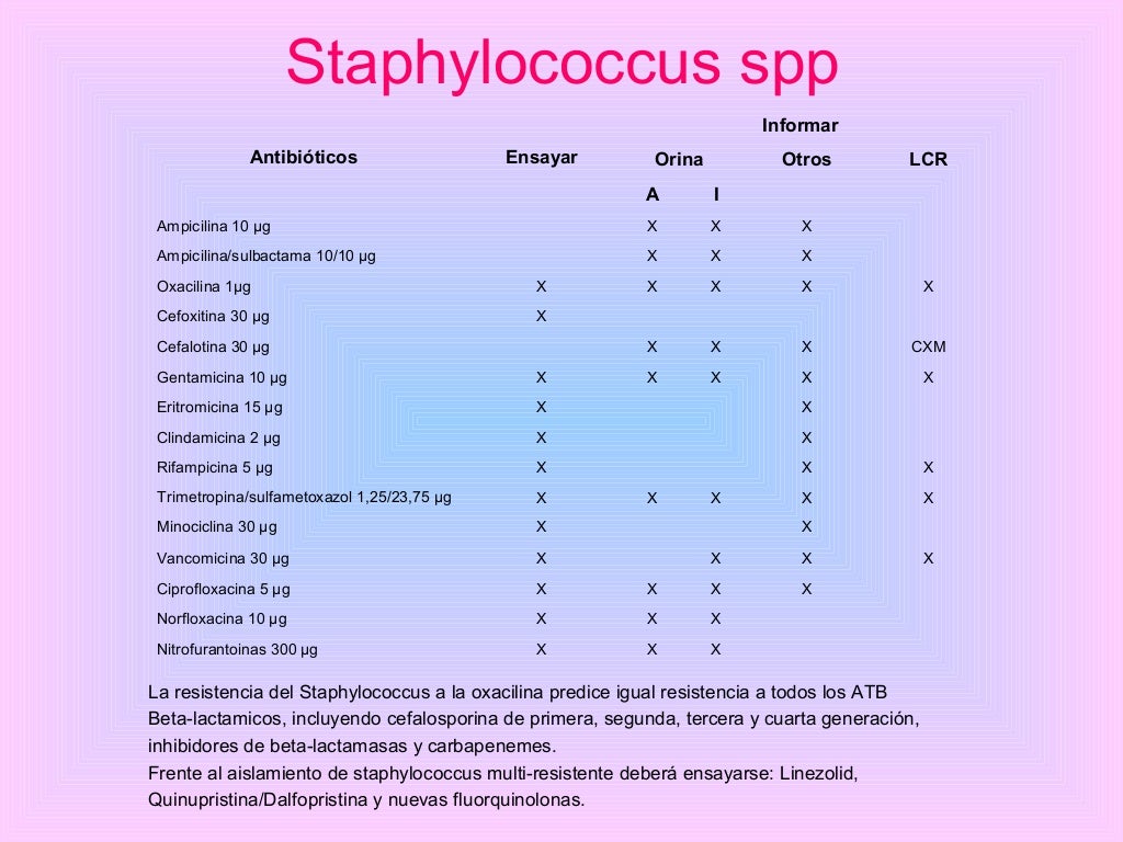 cocos gram positivos
