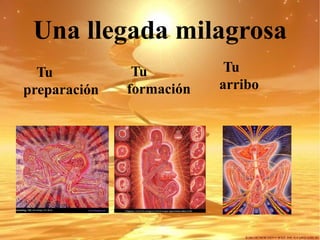 Una llegada milagrosa Tu preparación Tu formación Tu    arribo 