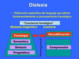 Dislexia Disfunción específica del lenguaje que afecta fundamentalmente al procesamiento fonológico Sistema lingüístico   Lectura Fonología Semantica Sintaxis Pragmática Decodificación Comprensión “ Conciencia fonológica” 
